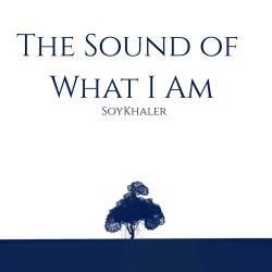 The Sound of What I Am. Передняя обложка. Нажмите, чтобы увеличить.