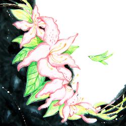 A First Flower. Передняя обложка. Нажмите, чтобы увеличить.