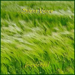 Incidental. Передняя обложка. Нажмите, чтобы увеличить.