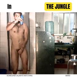 In the Jungle Someone's Always Watching. Передняя обложка. Нажмите, чтобы увеличить.