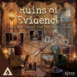 Ruins of Evidence - Ethnic Middle Eastern Crime Investigation Drama. Передняя обложка. Нажмите, чтобы увеличить.