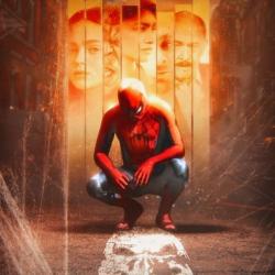Spider-Man: Echoes of a Brand New Day. Передняя обложка. Нажмите, чтобы увеличить.
