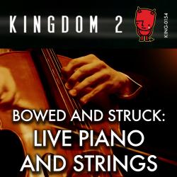 Bowed & Struck: Live Piano and Strings. Передняя обложка. Нажмите, чтобы увеличить.