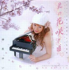 Piano no Mori no Mankai no Shita Theme Song「此の花咲ク頃」/ 	Yui Sakakibara. Front (small). Нажмите, чтобы увеличить.