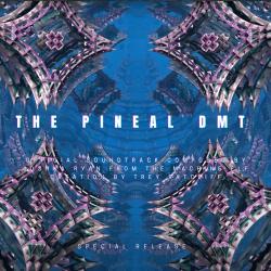 The Pineal DMT Original Motion Picture Soundtrack - EP. Передняя обложка. Нажмите, чтобы увеличить.
